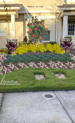 Exclusive Landscaping Create